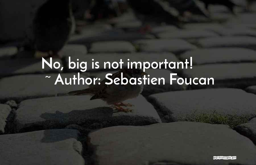 Sebastien Foucan Quotes: No, Big Is Not Important!