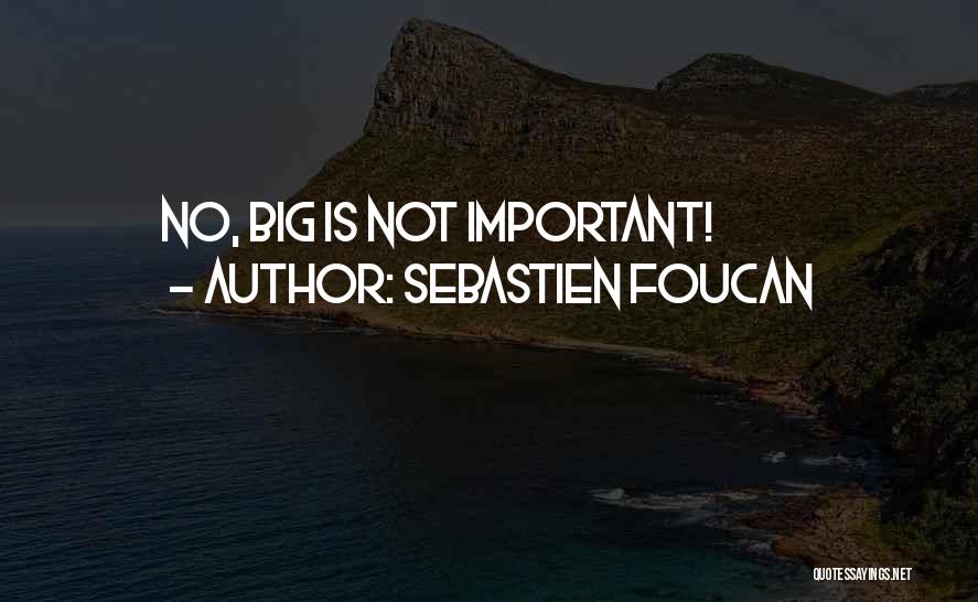 Sebastien Foucan Quotes: No, Big Is Not Important!