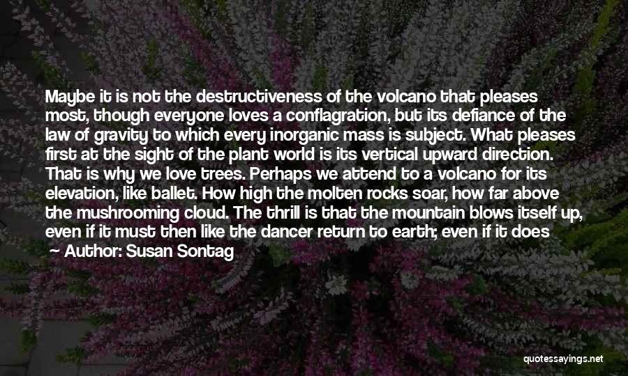 Susan Sontag Quotes: Maybe It Is Not The Destructiveness Of The Volcano That Pleases Most, Though Everyone Loves A Conflagration, But Its Defiance