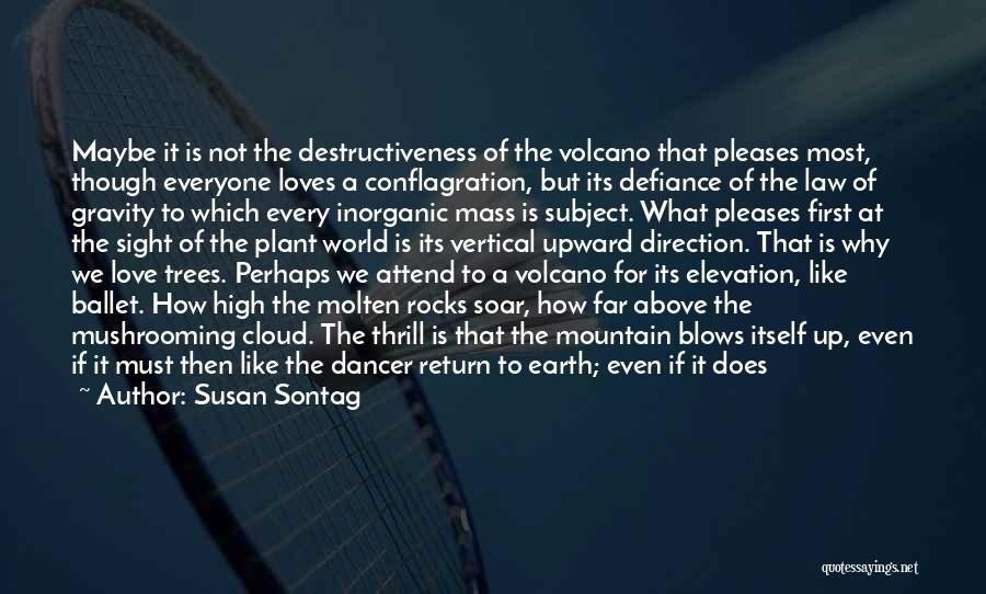 Susan Sontag Quotes: Maybe It Is Not The Destructiveness Of The Volcano That Pleases Most, Though Everyone Loves A Conflagration, But Its Defiance