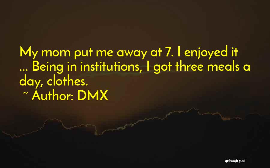 DMX Quotes: My Mom Put Me Away At 7. I Enjoyed It ... Being In Institutions, I Got Three Meals A Day,