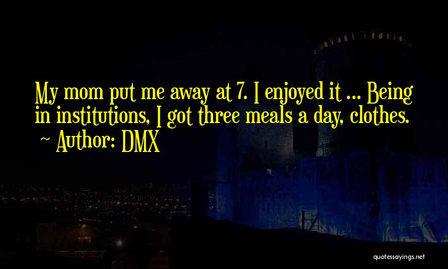 DMX Quotes: My Mom Put Me Away At 7. I Enjoyed It ... Being In Institutions, I Got Three Meals A Day,