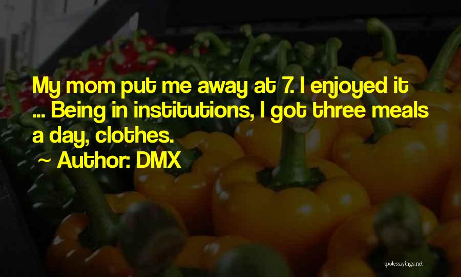 DMX Quotes: My Mom Put Me Away At 7. I Enjoyed It ... Being In Institutions, I Got Three Meals A Day,