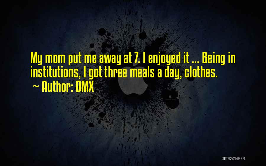 DMX Quotes: My Mom Put Me Away At 7. I Enjoyed It ... Being In Institutions, I Got Three Meals A Day,