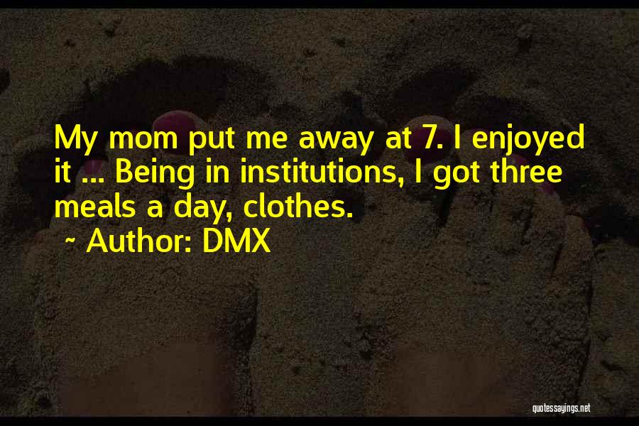 DMX Quotes: My Mom Put Me Away At 7. I Enjoyed It ... Being In Institutions, I Got Three Meals A Day,
