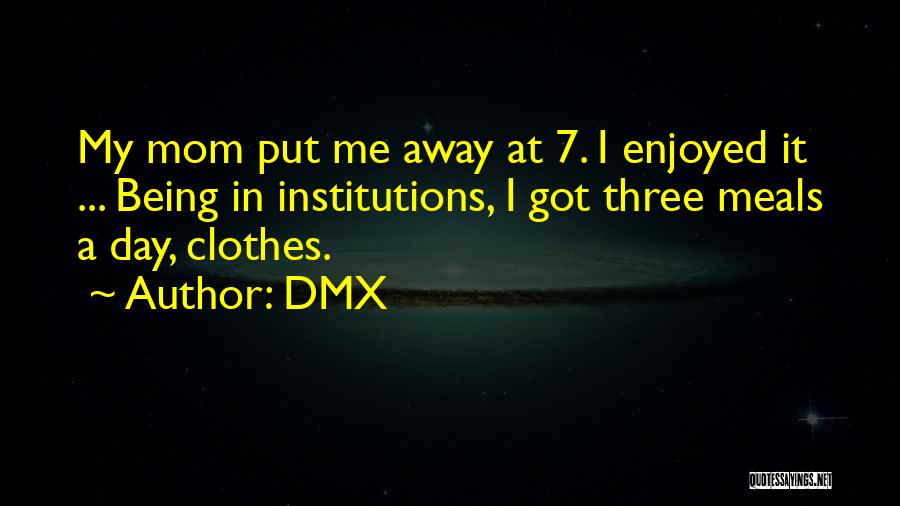DMX Quotes: My Mom Put Me Away At 7. I Enjoyed It ... Being In Institutions, I Got Three Meals A Day,