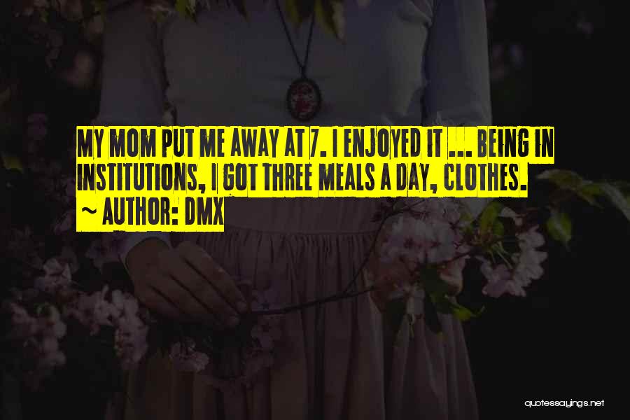 DMX Quotes: My Mom Put Me Away At 7. I Enjoyed It ... Being In Institutions, I Got Three Meals A Day,