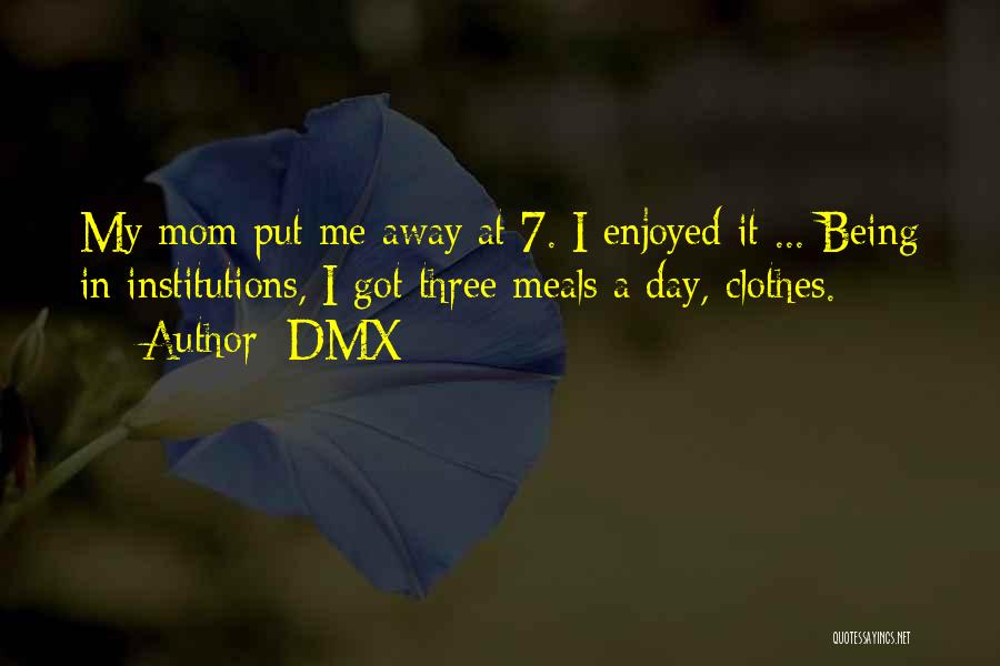 DMX Quotes: My Mom Put Me Away At 7. I Enjoyed It ... Being In Institutions, I Got Three Meals A Day,