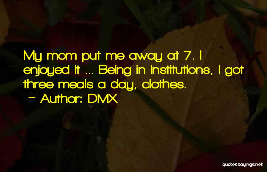 DMX Quotes: My Mom Put Me Away At 7. I Enjoyed It ... Being In Institutions, I Got Three Meals A Day,