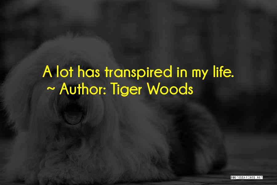 Tiger Woods Quotes: A Lot Has Transpired In My Life.
