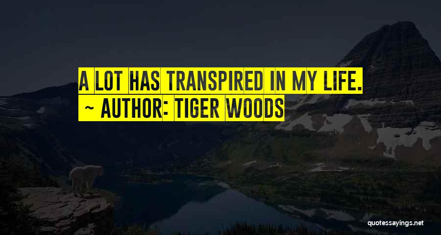 Tiger Woods Quotes: A Lot Has Transpired In My Life.