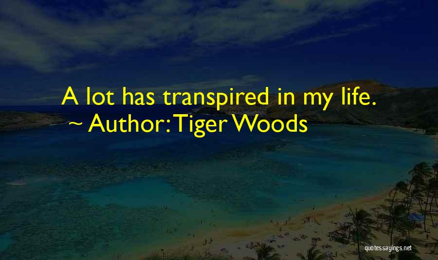Tiger Woods Quotes: A Lot Has Transpired In My Life.