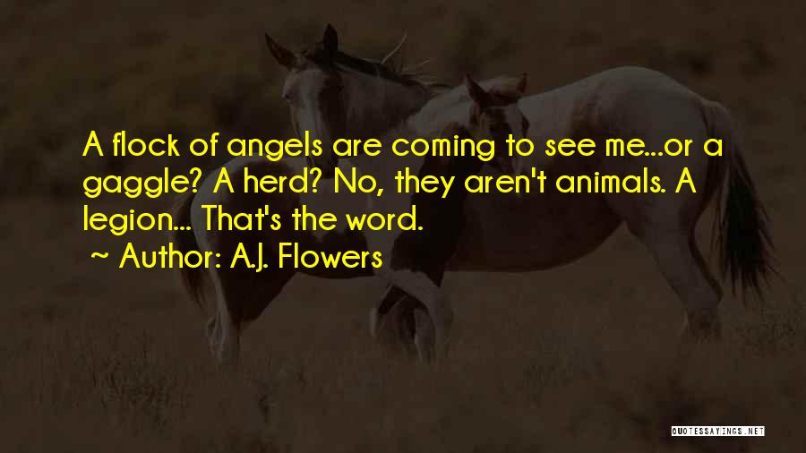 A.J. Flowers Quotes: A Flock Of Angels Are Coming To See Me...or A Gaggle? A Herd? No, They Aren't Animals. A Legion... That's