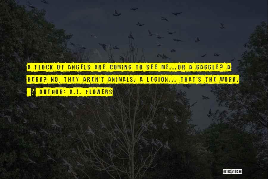 A.J. Flowers Quotes: A Flock Of Angels Are Coming To See Me...or A Gaggle? A Herd? No, They Aren't Animals. A Legion... That's