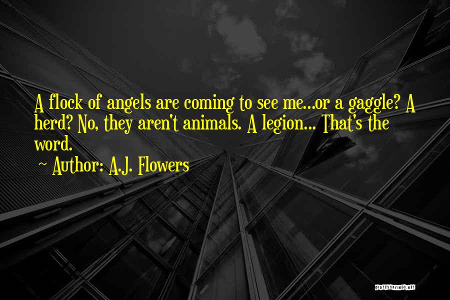 A.J. Flowers Quotes: A Flock Of Angels Are Coming To See Me...or A Gaggle? A Herd? No, They Aren't Animals. A Legion... That's