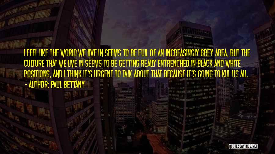Paul Bettany Quotes: I Feel Like The World We Live In Seems To Be Full Of An Increasingly Grey Area, But The Culture