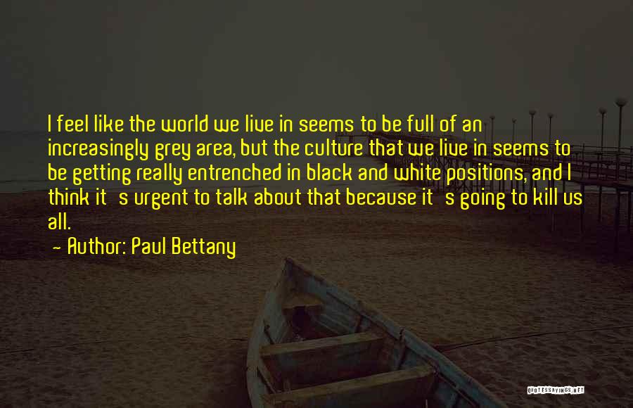 Paul Bettany Quotes: I Feel Like The World We Live In Seems To Be Full Of An Increasingly Grey Area, But The Culture