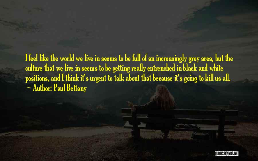 Paul Bettany Quotes: I Feel Like The World We Live In Seems To Be Full Of An Increasingly Grey Area, But The Culture