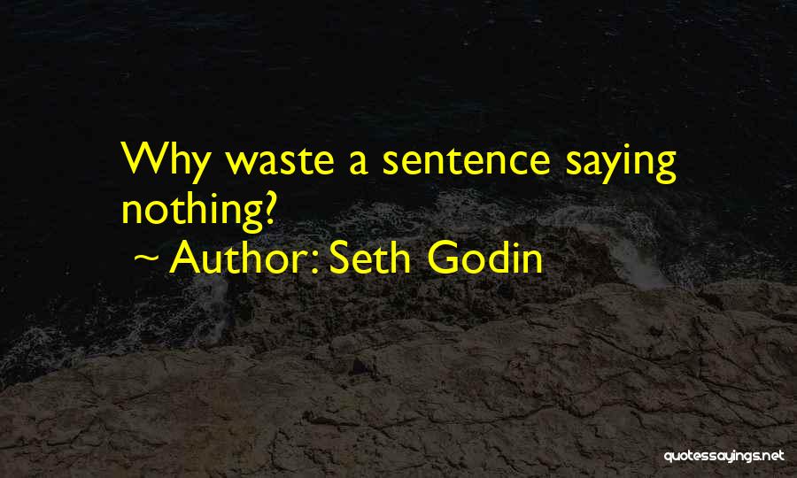 Seth Godin Quotes: Why Waste A Sentence Saying Nothing?