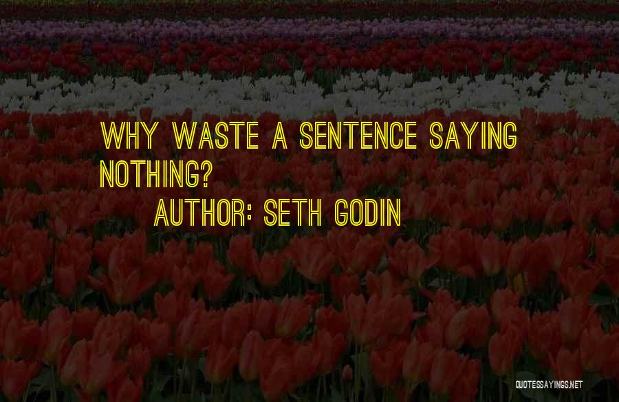 Seth Godin Quotes: Why Waste A Sentence Saying Nothing?