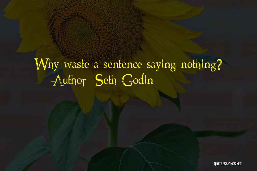 Seth Godin Quotes: Why Waste A Sentence Saying Nothing?