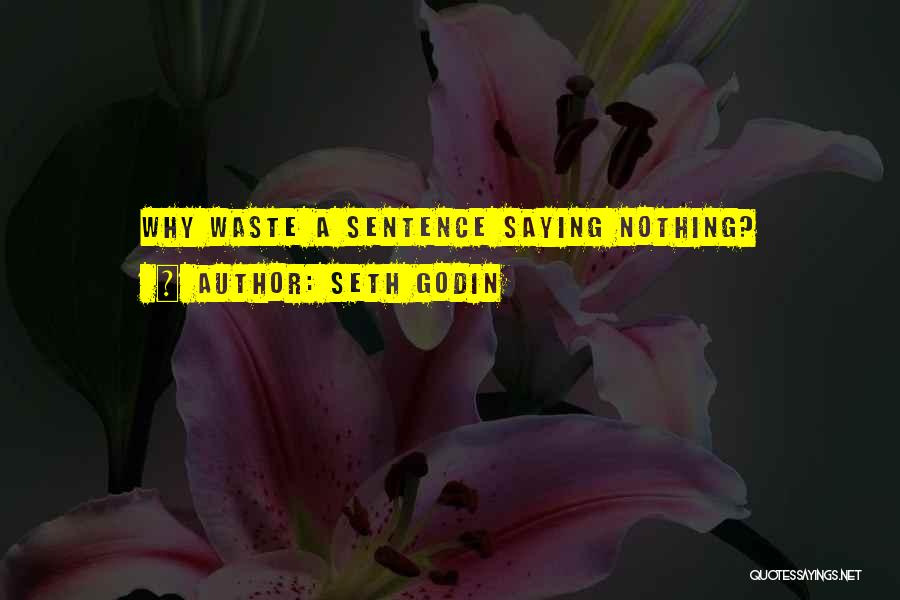 Seth Godin Quotes: Why Waste A Sentence Saying Nothing?