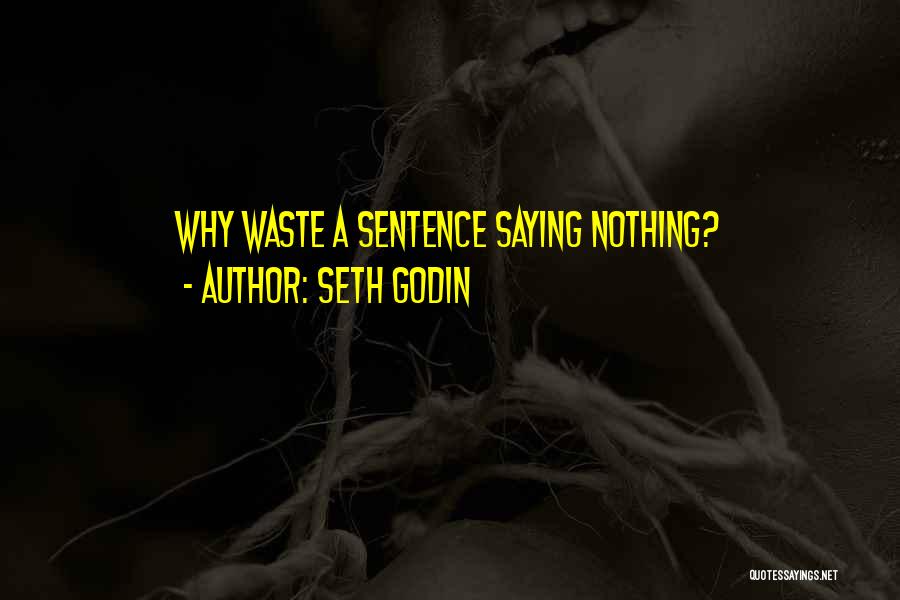 Seth Godin Quotes: Why Waste A Sentence Saying Nothing?