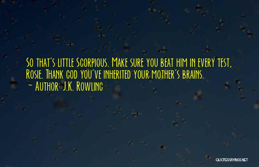 J.K. Rowling Quotes: So That's Little Scorpious. Make Sure You Beat Him In Every Test, Rosie. Thank God You've Inherited Your Mother's Brains.