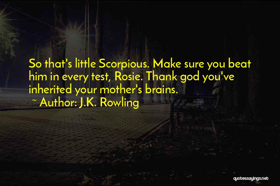 J.K. Rowling Quotes: So That's Little Scorpious. Make Sure You Beat Him In Every Test, Rosie. Thank God You've Inherited Your Mother's Brains.