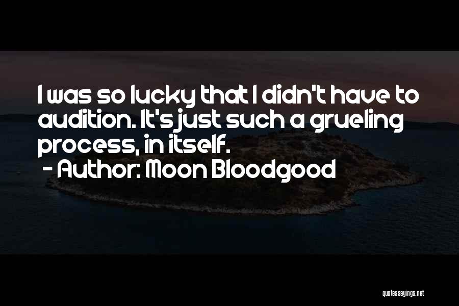 Moon Bloodgood Quotes: I Was So Lucky That I Didn't Have To Audition. It's Just Such A Grueling Process, In Itself.