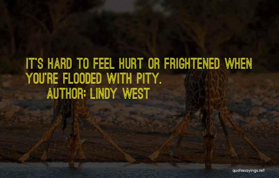 Lindy West Quotes: It's Hard To Feel Hurt Or Frightened When You're Flooded With Pity.