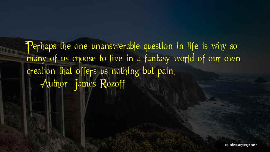 James Rozoff Quotes: Perhaps The One Unanswerable Question In Life Is Why So Many Of Us Choose To Live In A Fantasy World