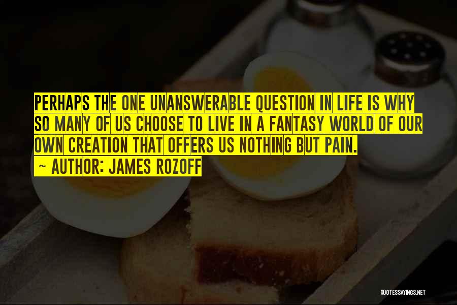James Rozoff Quotes: Perhaps The One Unanswerable Question In Life Is Why So Many Of Us Choose To Live In A Fantasy World