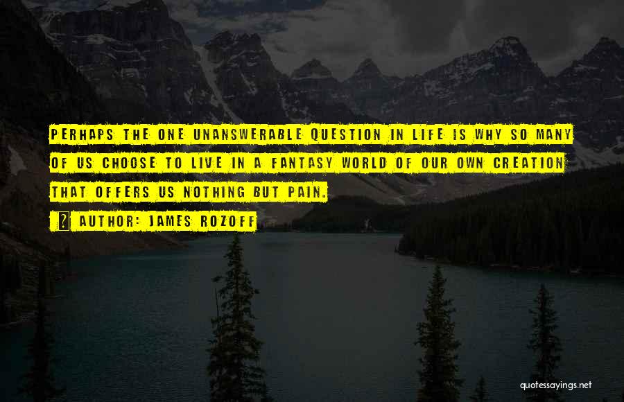 James Rozoff Quotes: Perhaps The One Unanswerable Question In Life Is Why So Many Of Us Choose To Live In A Fantasy World