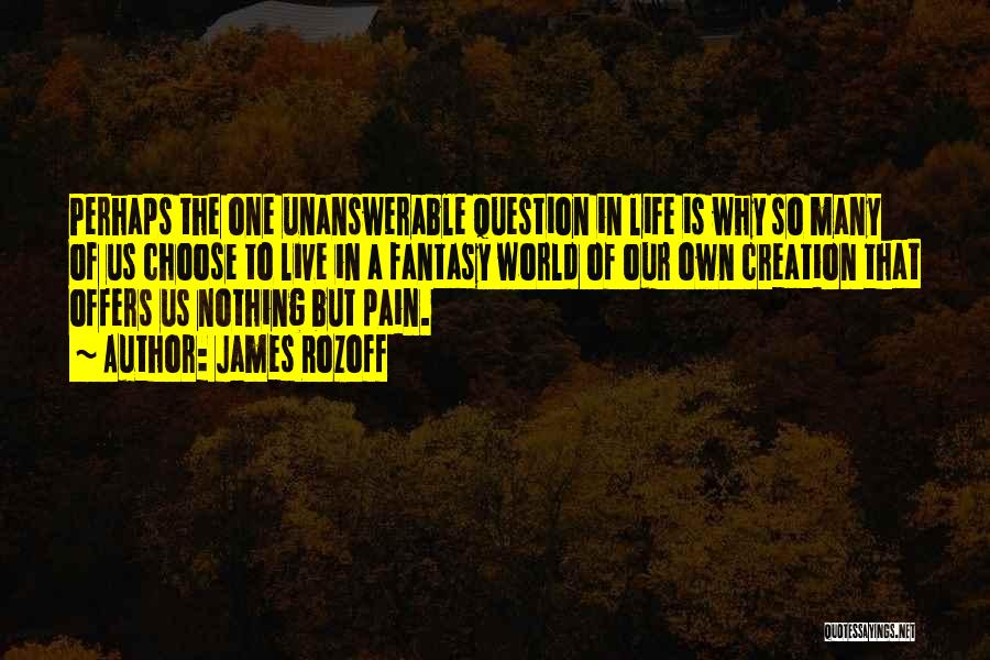 James Rozoff Quotes: Perhaps The One Unanswerable Question In Life Is Why So Many Of Us Choose To Live In A Fantasy World