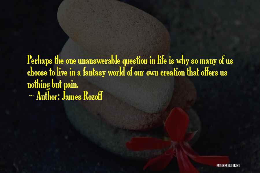 James Rozoff Quotes: Perhaps The One Unanswerable Question In Life Is Why So Many Of Us Choose To Live In A Fantasy World