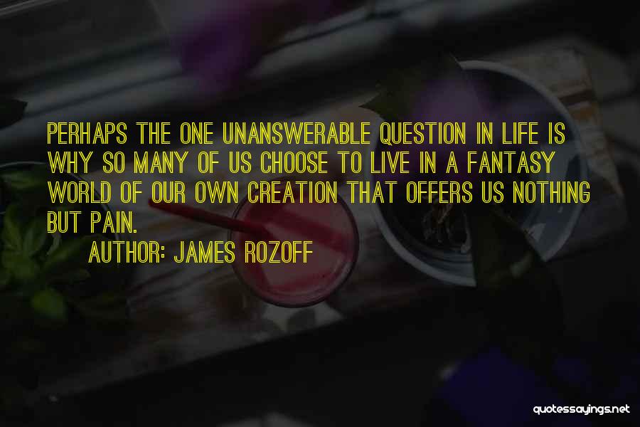 James Rozoff Quotes: Perhaps The One Unanswerable Question In Life Is Why So Many Of Us Choose To Live In A Fantasy World