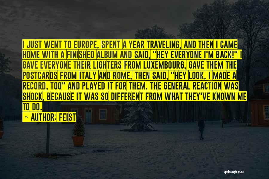 Feist Quotes: I Just Went To Europe, Spent A Year Traveling, And Then I Came Home With A Finished Album And Said,