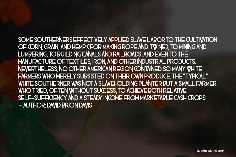 David Brion Davis Quotes: Some Southerners Effectively Applied Slave Labor To The Cultivation Of Corn, Grain, And Hemp (for Making Rope And Twine), To