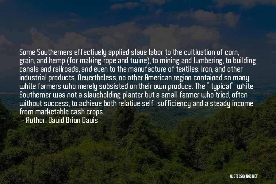 David Brion Davis Quotes: Some Southerners Effectively Applied Slave Labor To The Cultivation Of Corn, Grain, And Hemp (for Making Rope And Twine), To