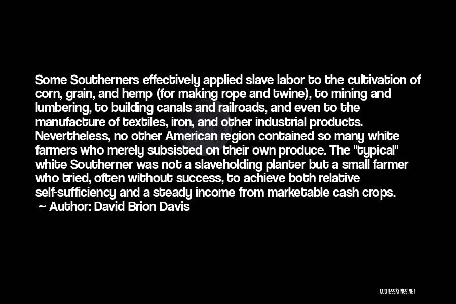 David Brion Davis Quotes: Some Southerners Effectively Applied Slave Labor To The Cultivation Of Corn, Grain, And Hemp (for Making Rope And Twine), To