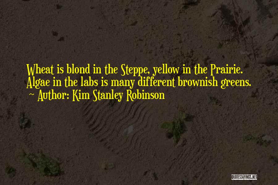 Kim Stanley Robinson Quotes: Wheat Is Blond In The Steppe, Yellow In The Prairie. Algae In The Labs Is Many Different Brownish Greens.