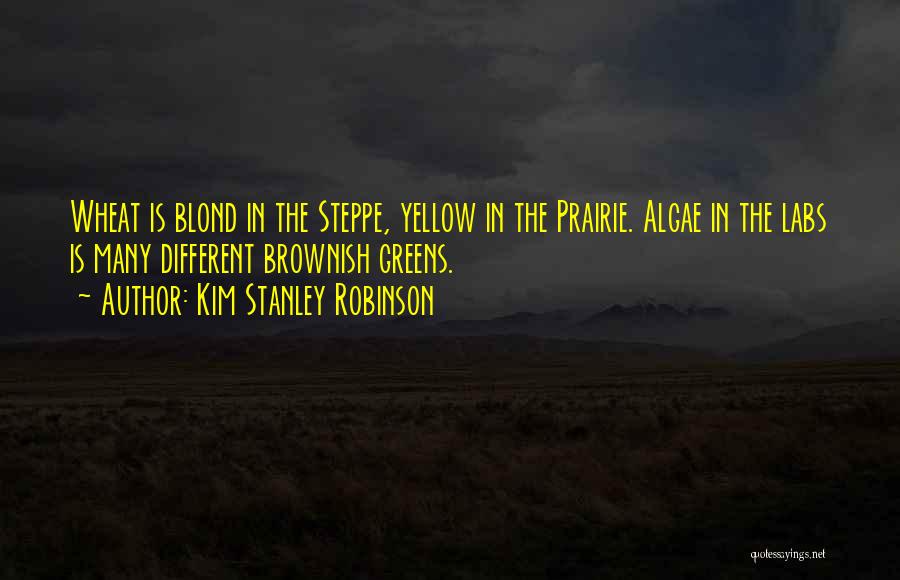 Kim Stanley Robinson Quotes: Wheat Is Blond In The Steppe, Yellow In The Prairie. Algae In The Labs Is Many Different Brownish Greens.