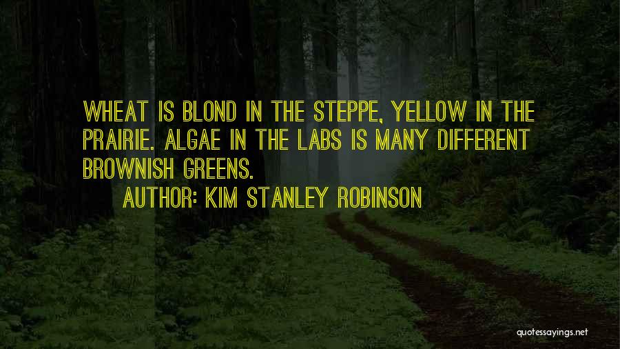 Kim Stanley Robinson Quotes: Wheat Is Blond In The Steppe, Yellow In The Prairie. Algae In The Labs Is Many Different Brownish Greens.