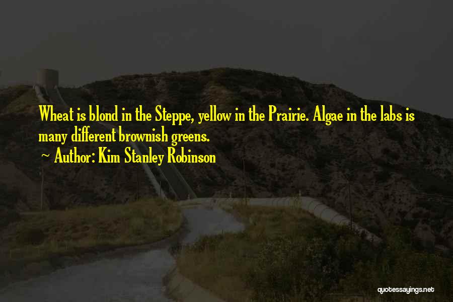 Kim Stanley Robinson Quotes: Wheat Is Blond In The Steppe, Yellow In The Prairie. Algae In The Labs Is Many Different Brownish Greens.