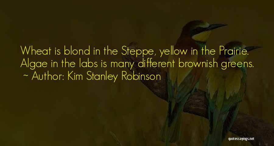 Kim Stanley Robinson Quotes: Wheat Is Blond In The Steppe, Yellow In The Prairie. Algae In The Labs Is Many Different Brownish Greens.