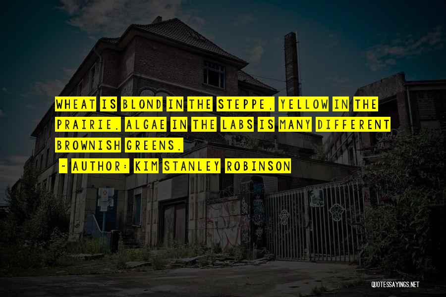 Kim Stanley Robinson Quotes: Wheat Is Blond In The Steppe, Yellow In The Prairie. Algae In The Labs Is Many Different Brownish Greens.