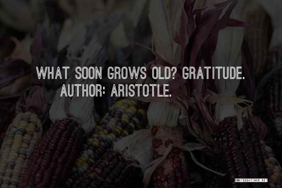 Aristotle. Quotes: What Soon Grows Old? Gratitude.