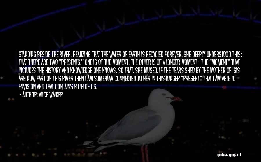 Alice Walker Quotes: Standing Beside The River, Realizing That The Water Of Earth Is Recycled Forever, She Deeply Understood This: That There Are