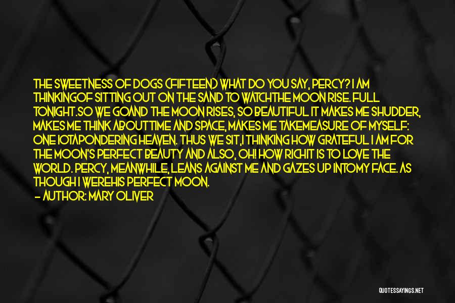 Mary Oliver Quotes: The Sweetness Of Dogs (fifteen) What Do You Say, Percy? I Am Thinkingof Sitting Out On The Sand To Watchthe